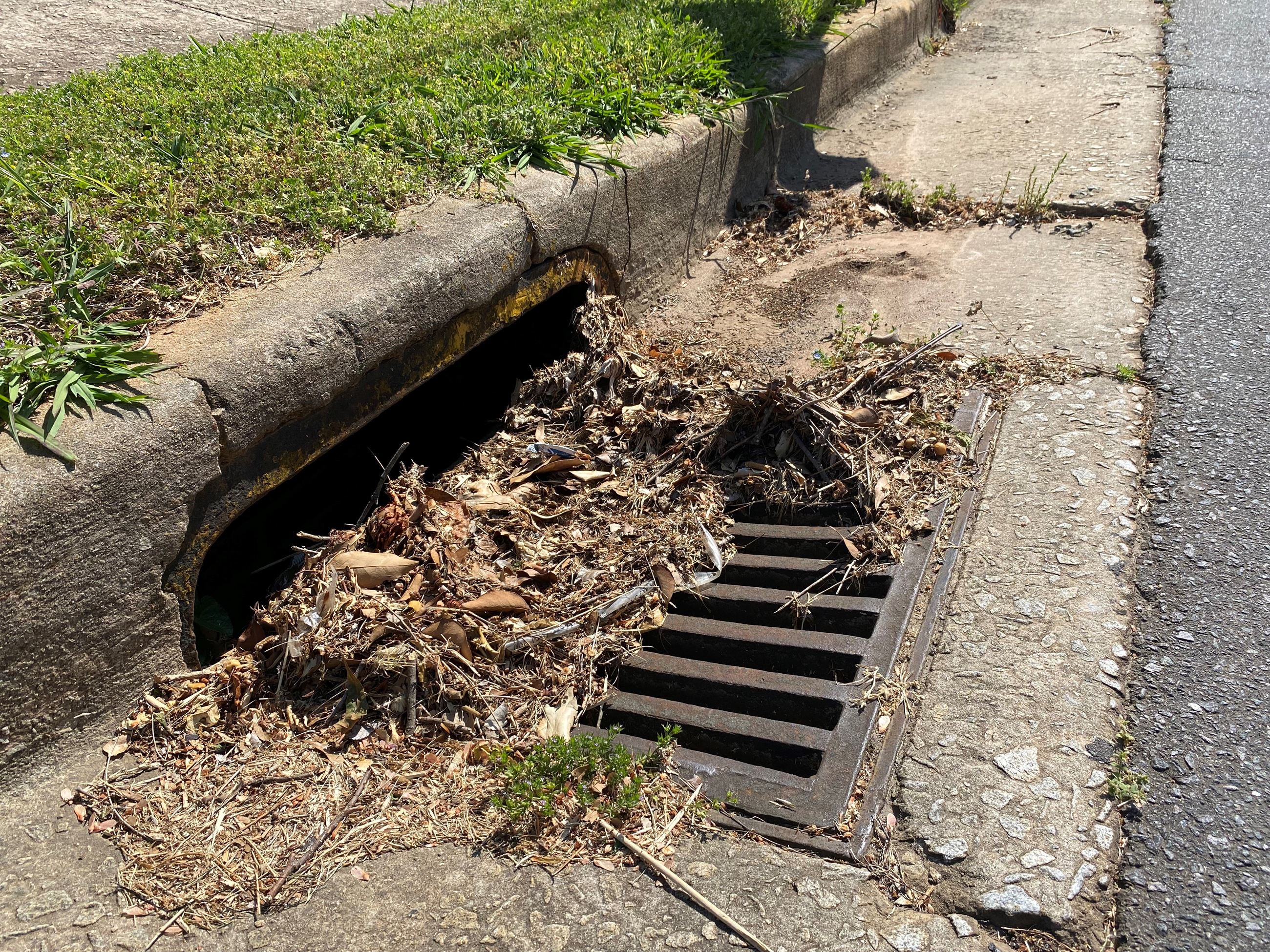 stormdrain with trash