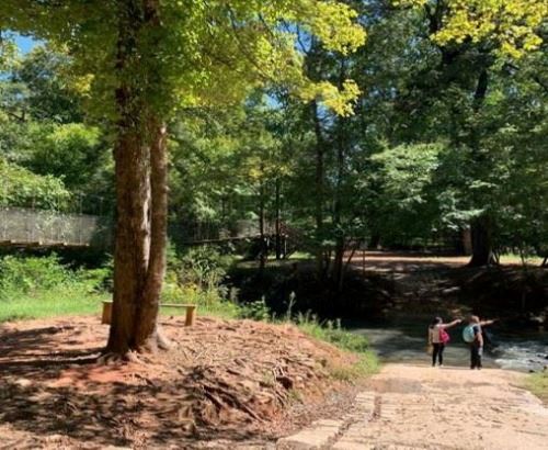 spotlight graphic cropped