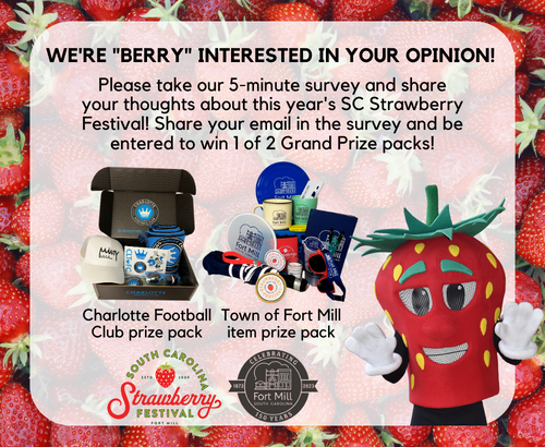 Survey prizes for website