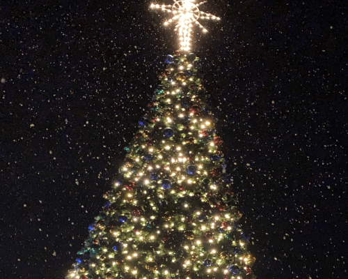 Town Christmas Tree 2020