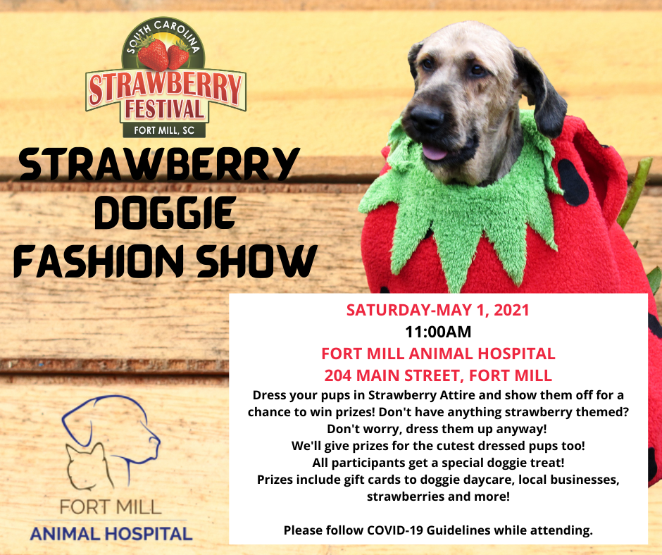 Doggie Fashion Show for 5-1-21
