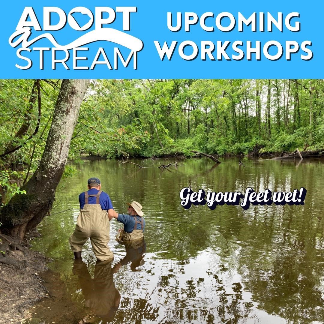 Image shows two people wearing hip waders in a creek. 