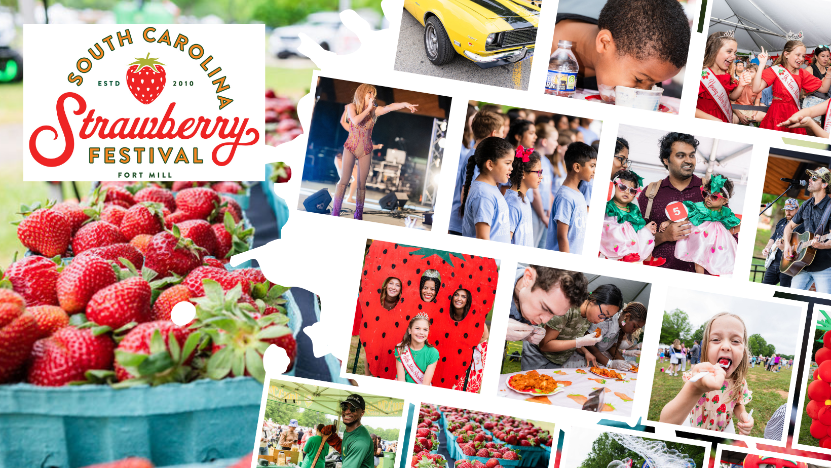 2025 SC SCSF Graphic for Website