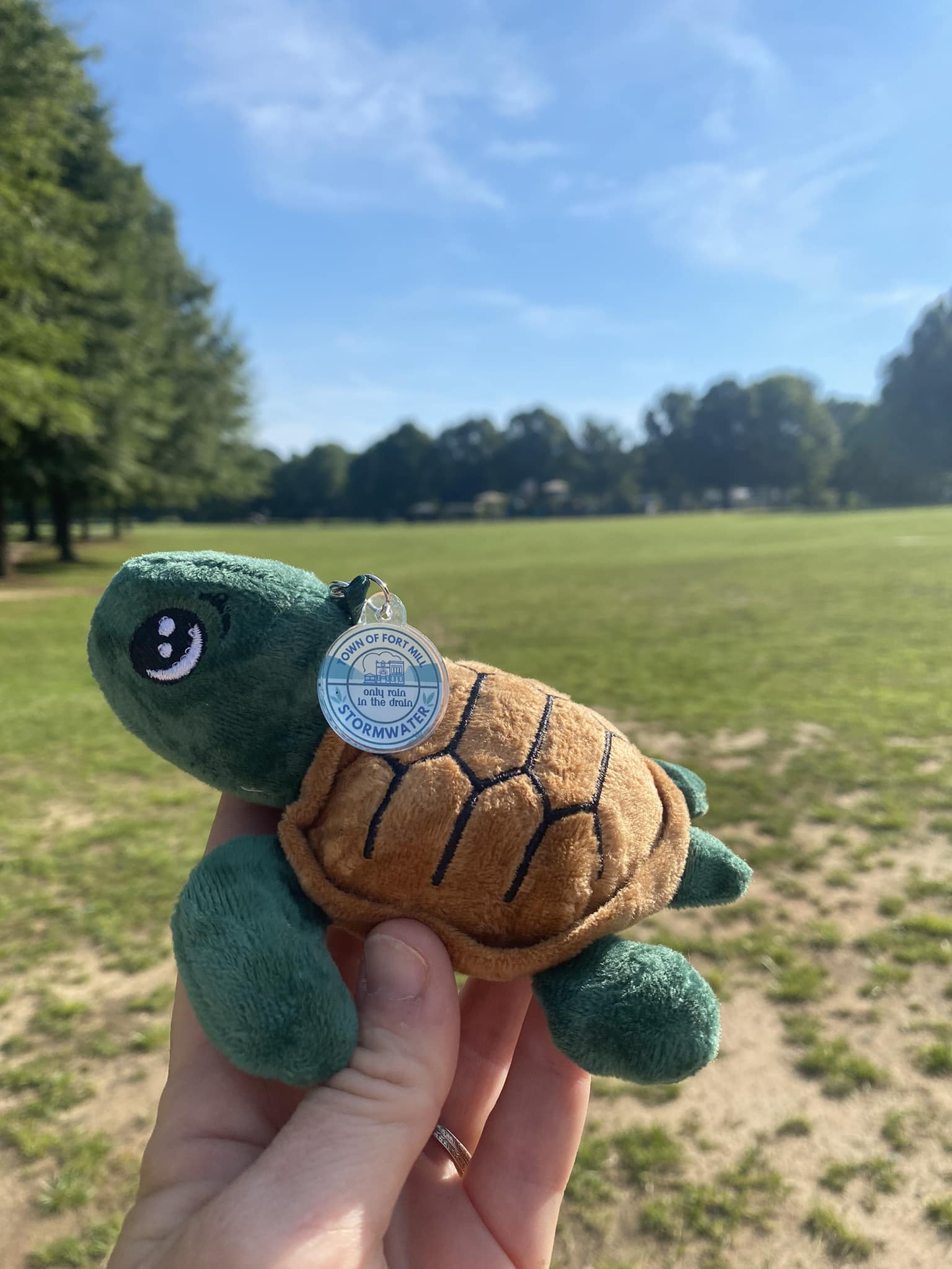 turtle stuffie